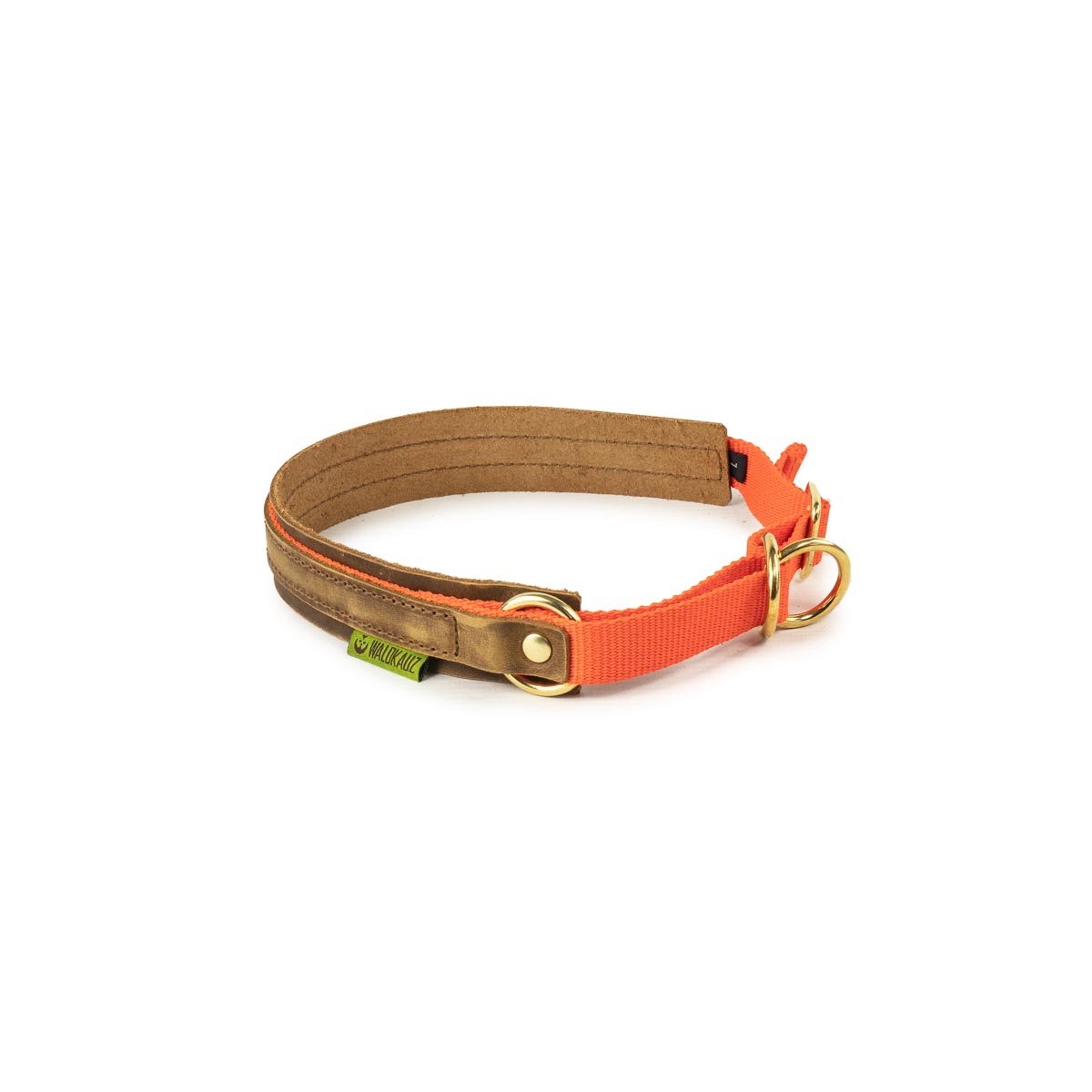 Zug-Stopp-Halsung orange Zug-Stopp-Hundehalsband orange