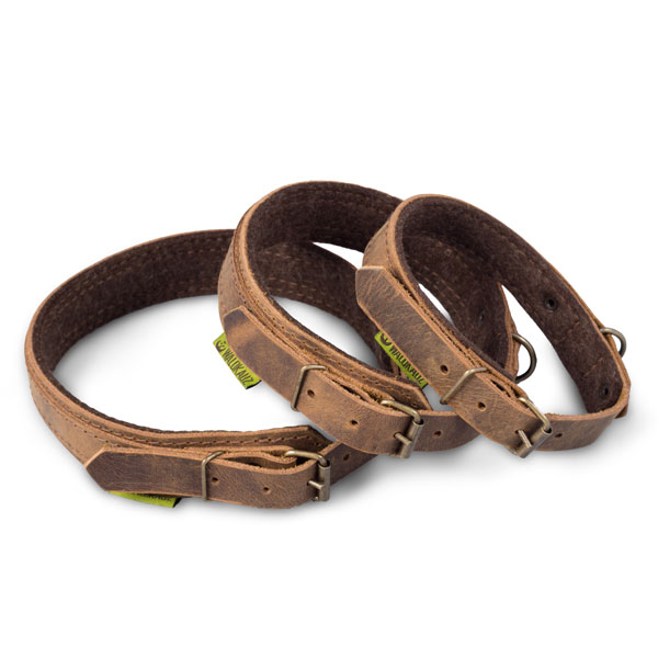 Hundehalsband "Patzel" Hundehalsband "Patzel"