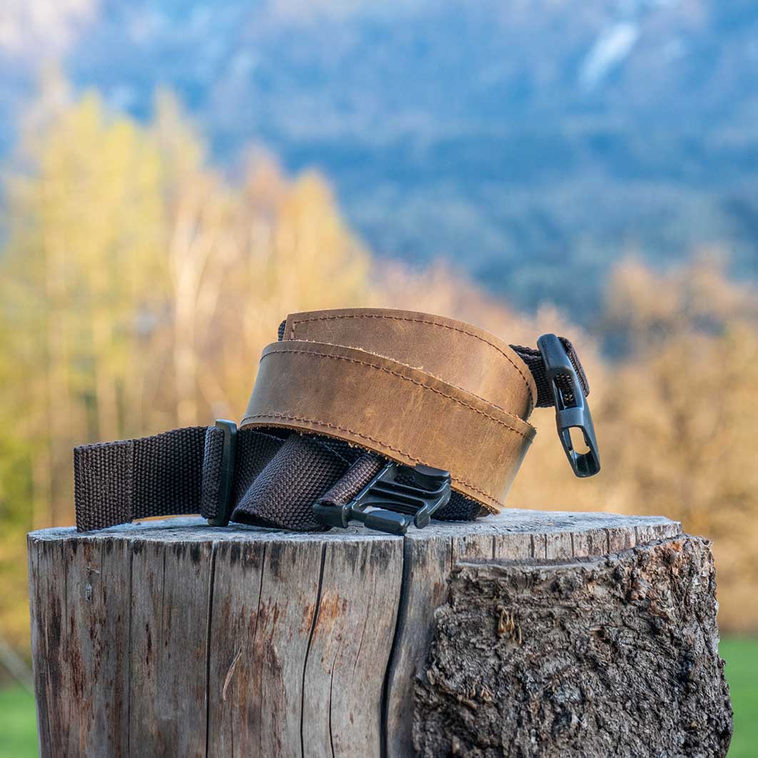 Modulus-Gürtel zusammengerollt Modulus-Gürtel zusammengerollt auf Baumstumpf